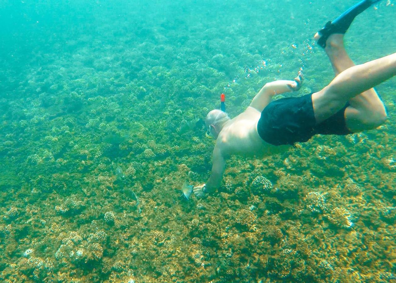 Hotel Casa De Campo Pedasi Pedasi Town Dış mekan fotoğraf